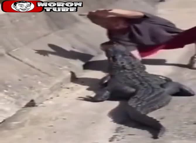 Video :He believes he has a foolproof technique for soothing a crocodile
